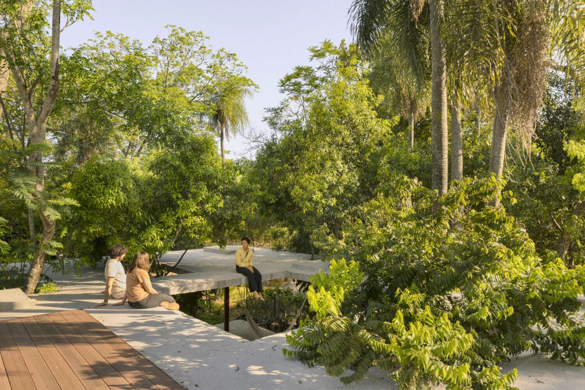 Greenery on top of the house