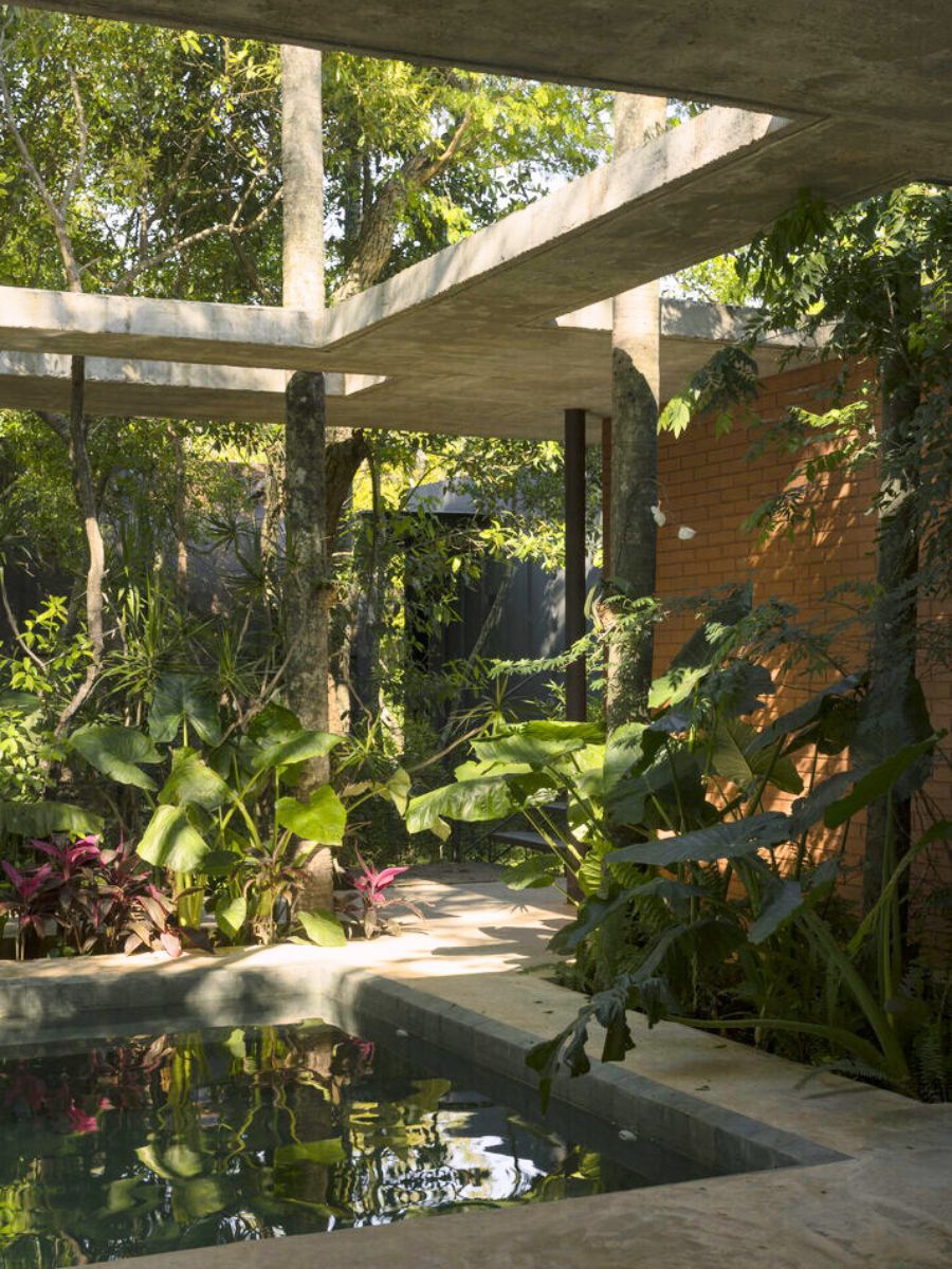 Spots with sun and green plants