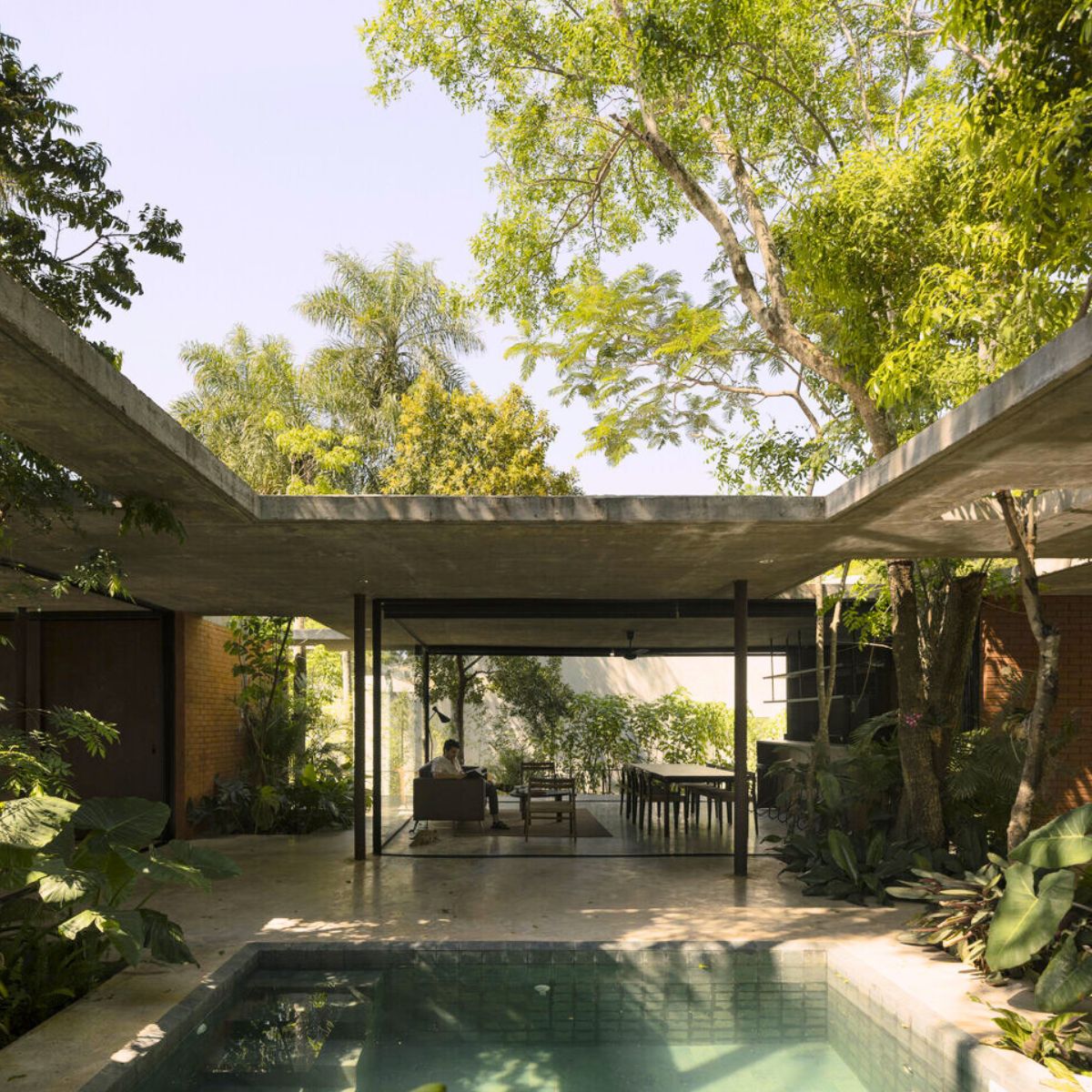A house invaded by trees and greens
