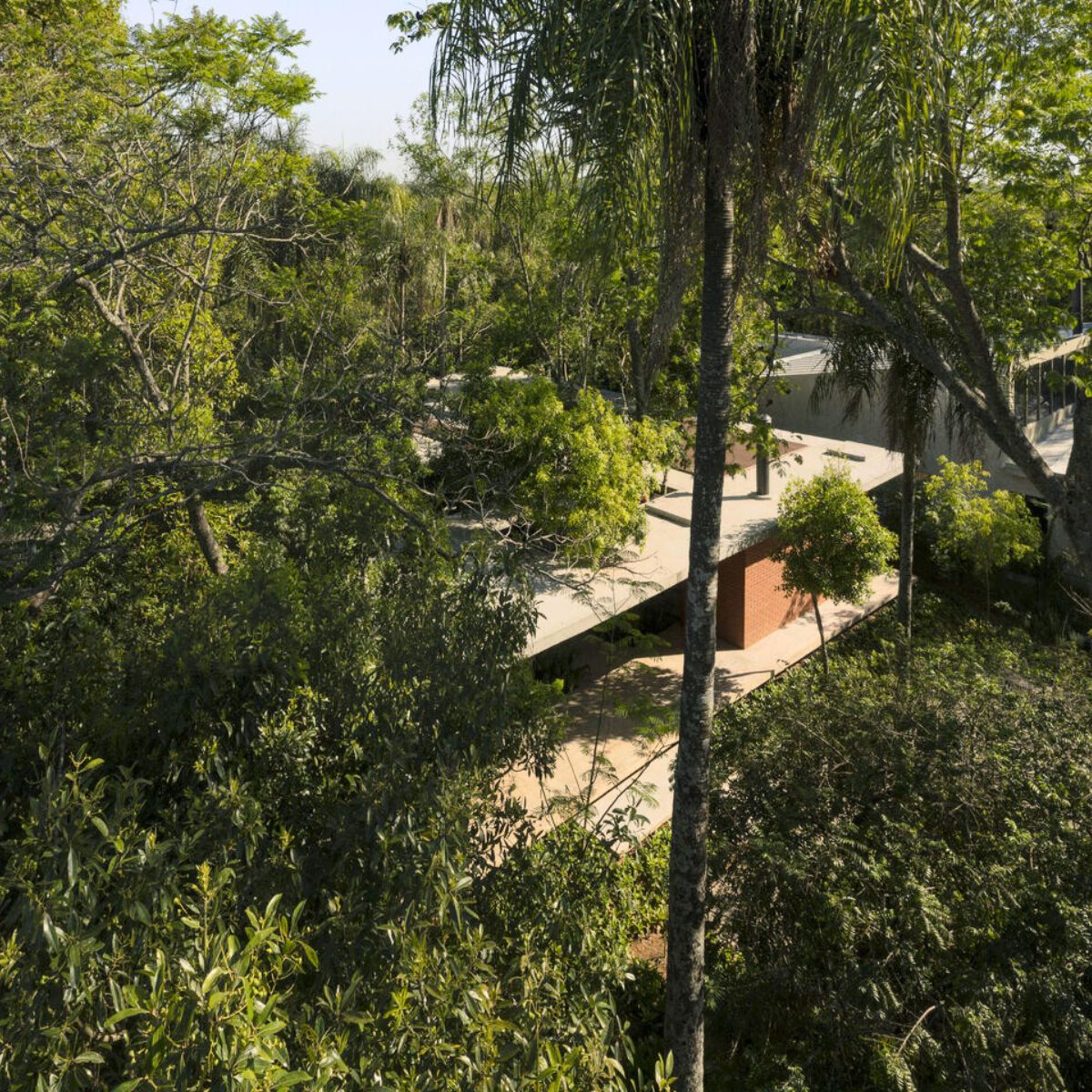 Trees in the entire house