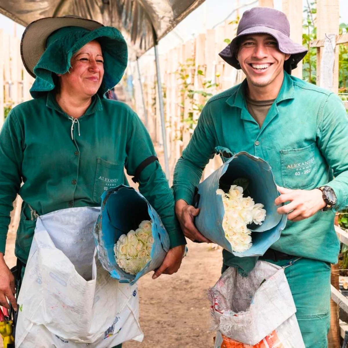 Alexandra Farms workers