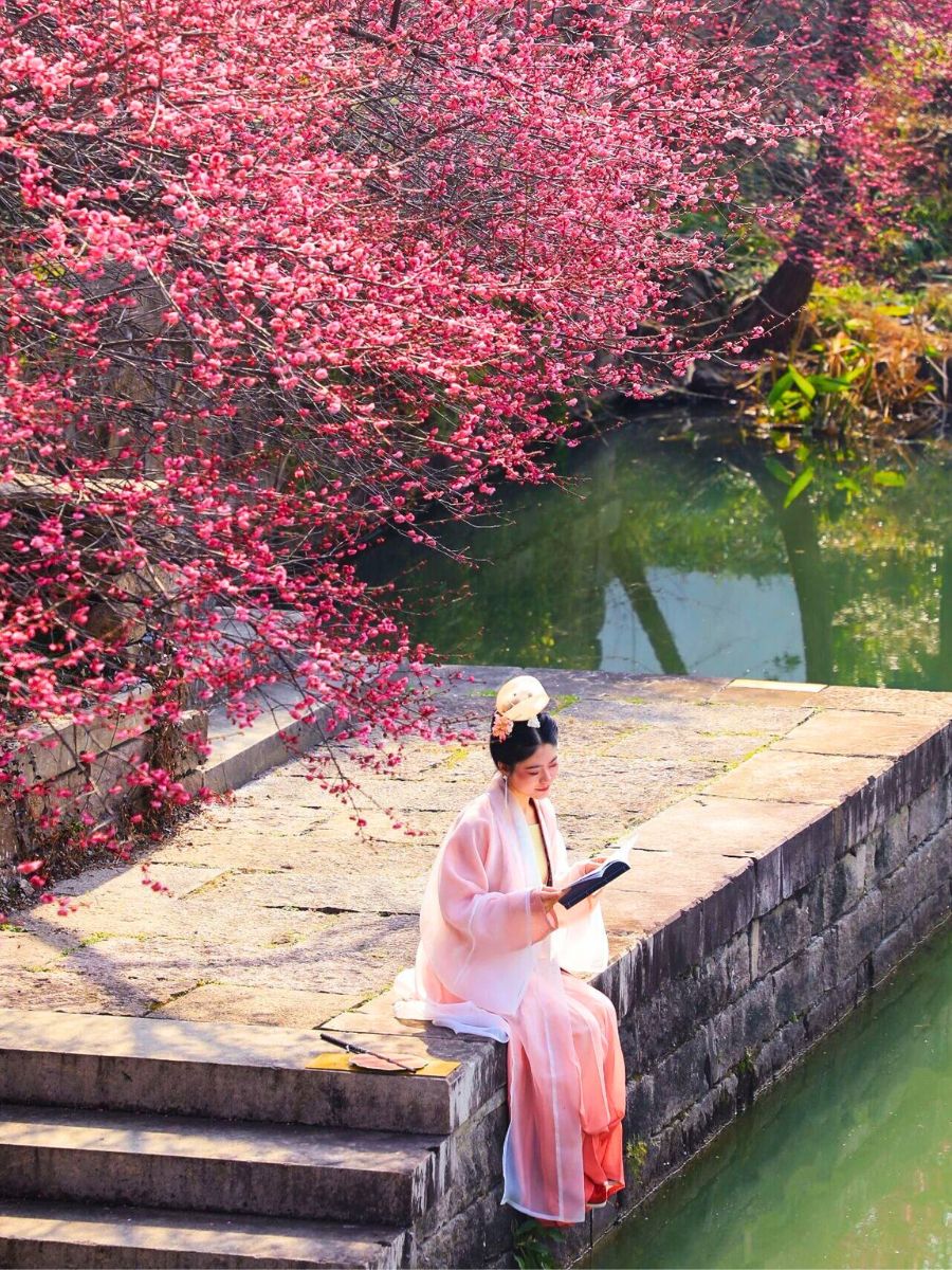 @Hangzhoufeel Shares Pictures Near Water With Plum Blossoms @Hangzhoufeel Shares Pictures Near Water With Plum Blossoms