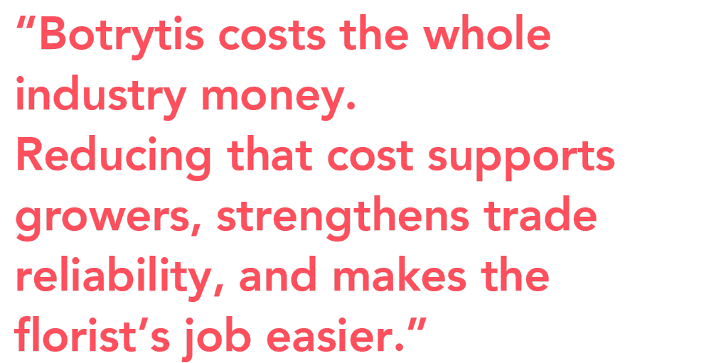 R and D Project botrytis quote