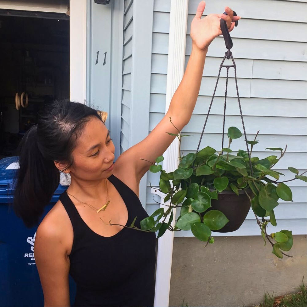 How do I care for Chelsea Hoya? How to care for Chelsea Hoya involves providing bright indirect light, watering only when the top layer of soil dries out, using a well-draining potting mix, and fertilizing lightly during the growing season.