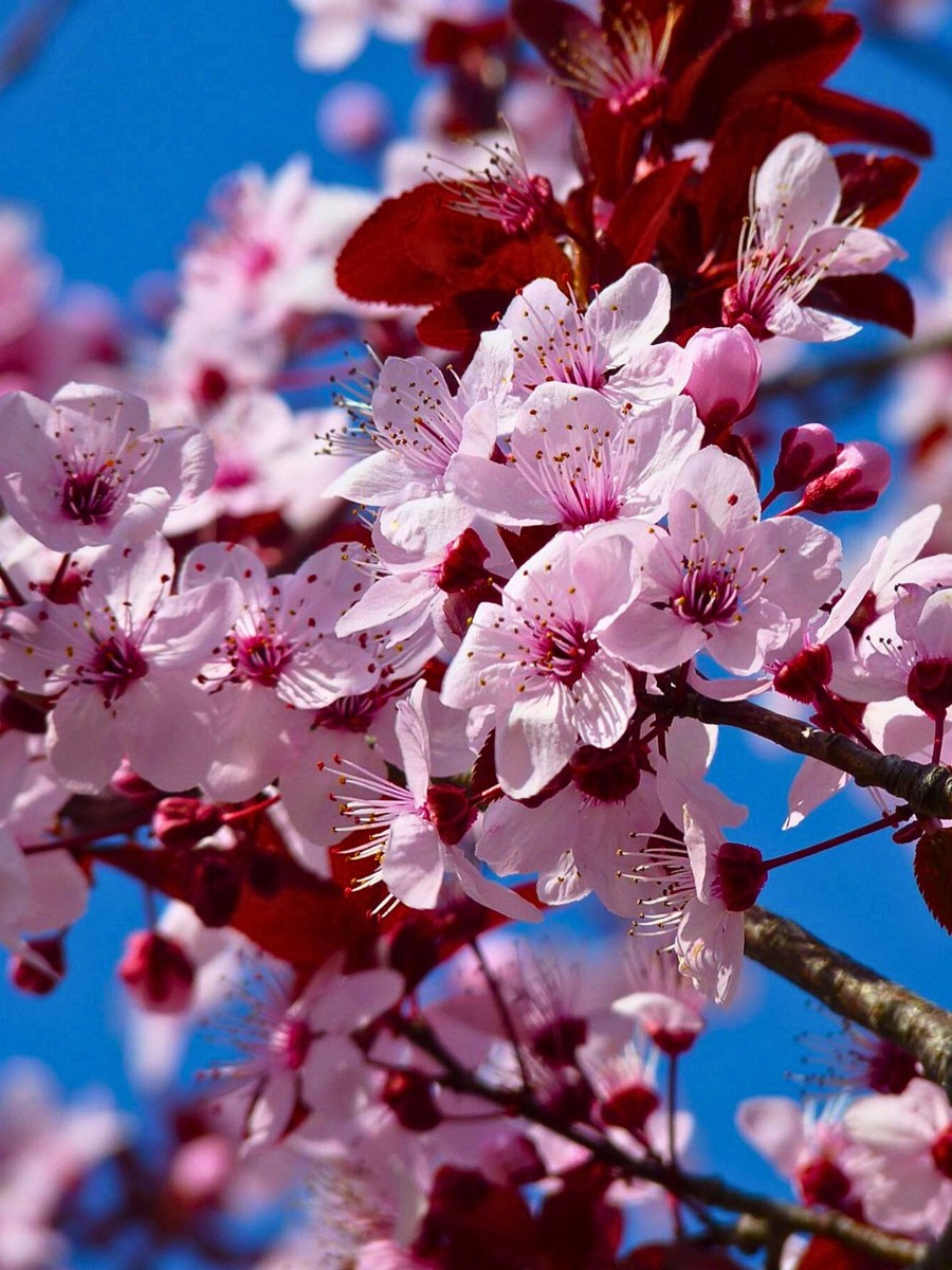 The Power of Color in Everyday Life and Why We Celebrate International Color Day