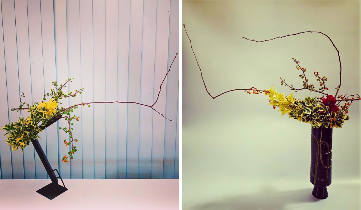 Fortune&rsquo;s Spindle Vine, Also Called Euonymus Fortunei