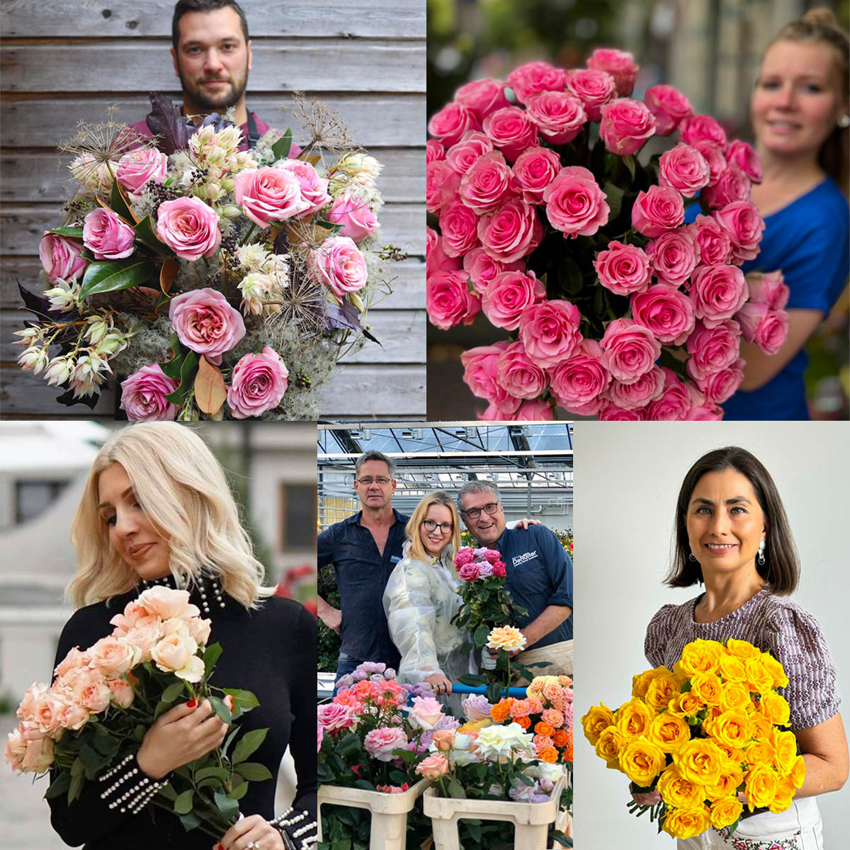 R and D Project breeders