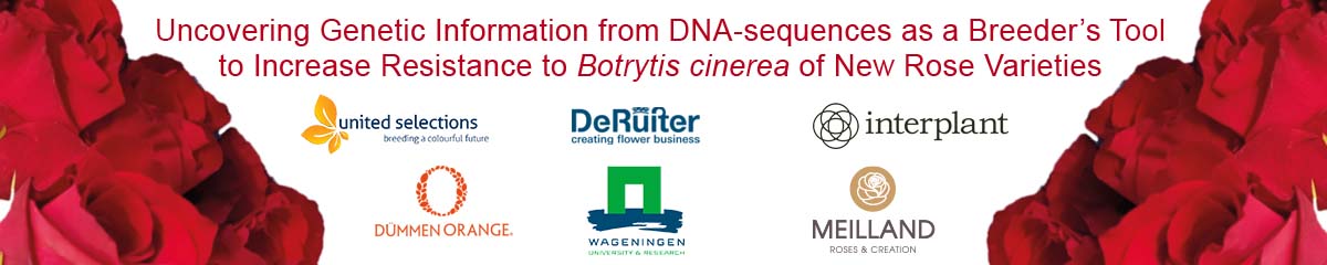 BannerRandDProject Desktop