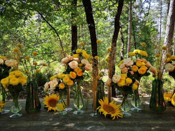 A Trendsetter Rose Brunch in the Forest