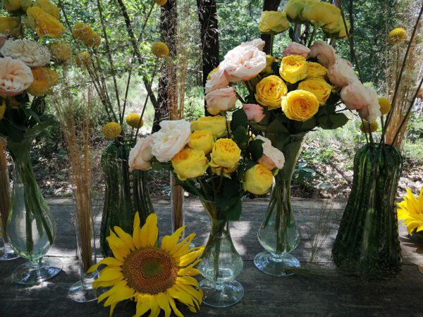 A Trendsetter Rose Brunch in the Forest