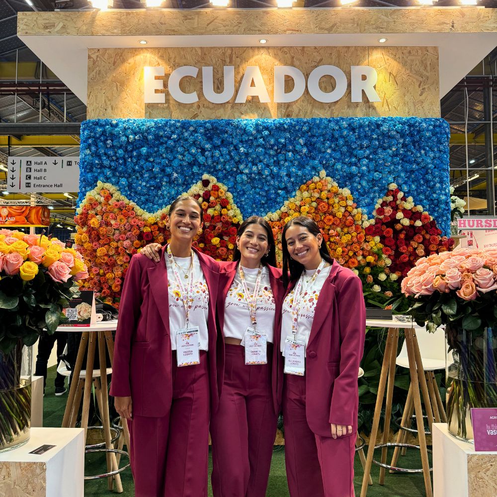 10 questions to Daniela Lobato