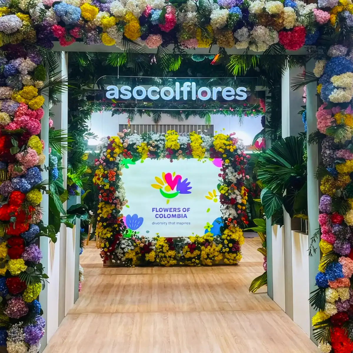What Is Asocolflores? All About Colombian Floriculture’s Umbrella Association