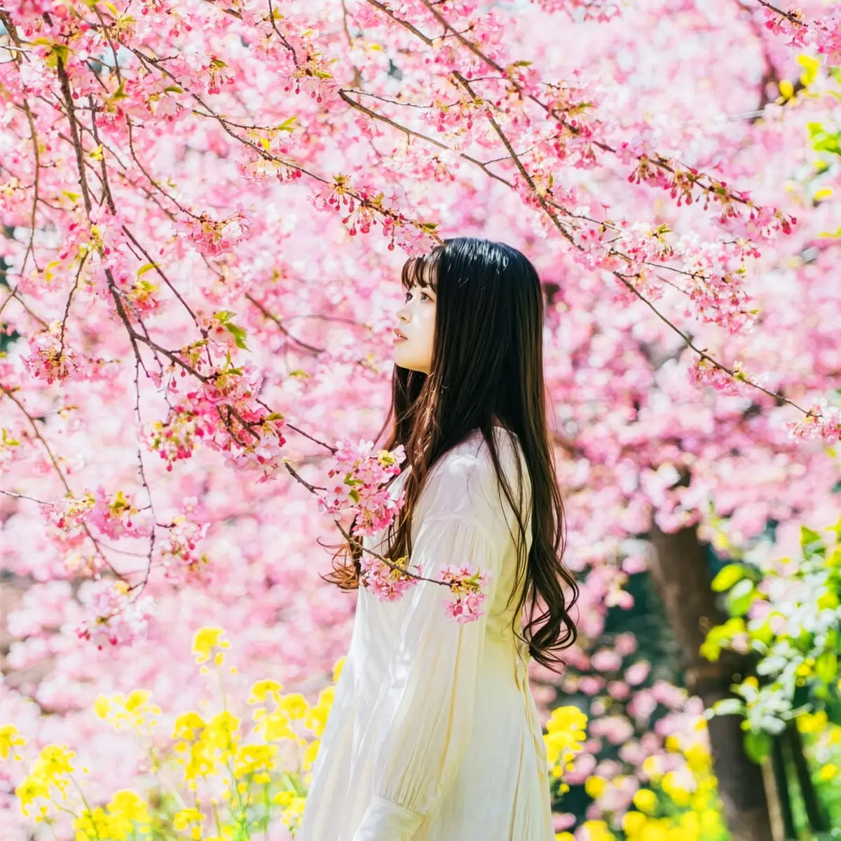 Spring Has Sprung and the Spring Equinox Has Already Arrived - Thursd Article - Featured Image