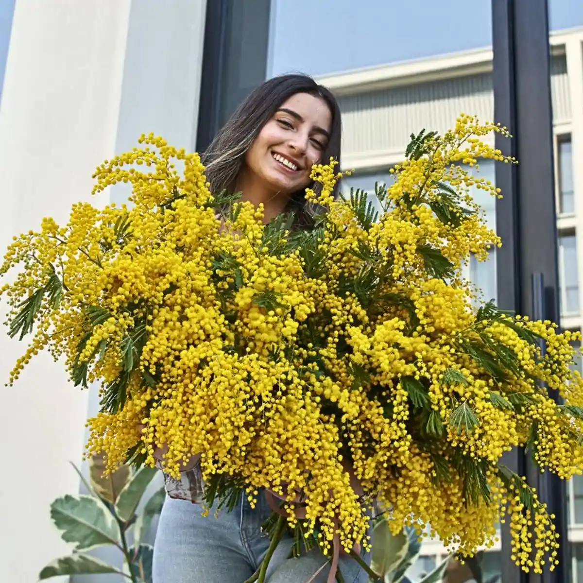 Dubai is the New Dream Destination Feature Image