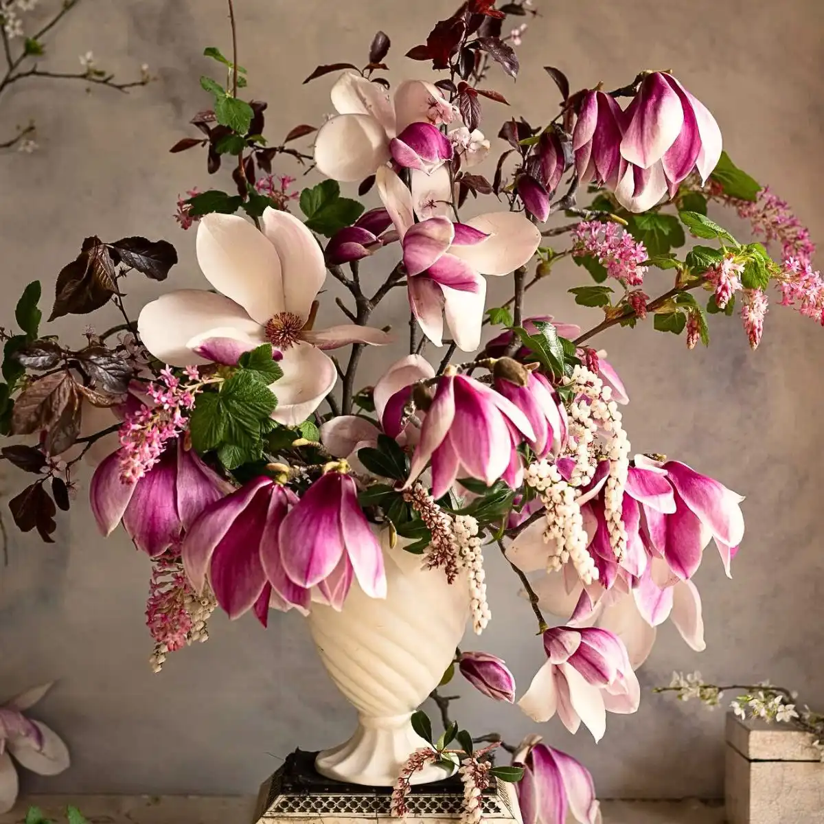 Small Garden Trees Feature Image