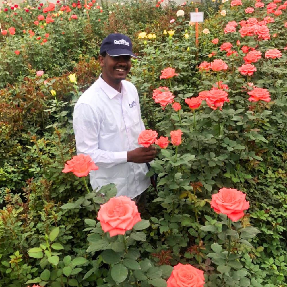 How EHPEA Puts the Welfare of the People Producing Ethiopia&rsquo;s Flowers First