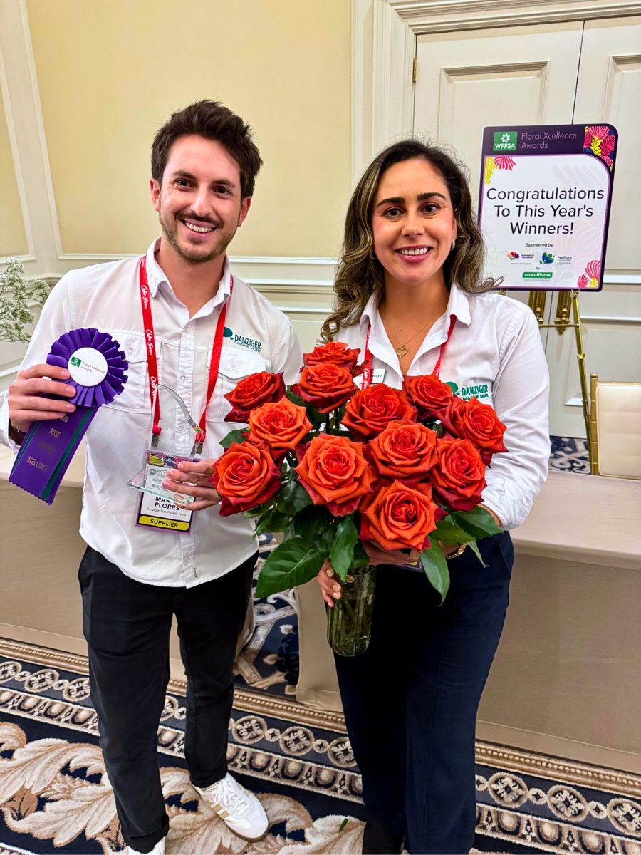 Rose Grower Xcellence Award: Kora™ from Danziger (Dan Flower Farm) Rose Grower Xcellence Award: Kora™ from Danziger (Dan Flower Farm)