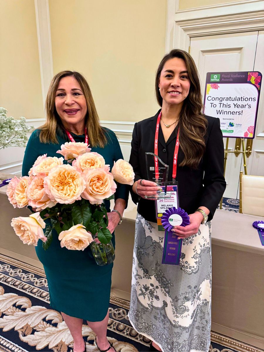 Garden Rose Grower Xcellence Award: Garden Rose “Tie Dye” (Choice Farms) Garden Rose Grower Xcellence Award: Garden Rose “Tie Dye” (Choice Farms)