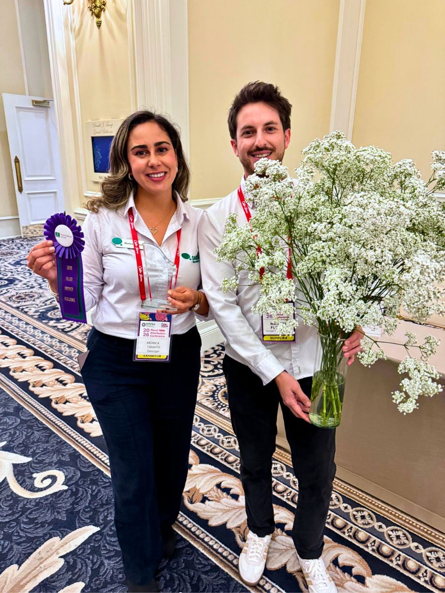 Filler Grower Xcellence Award: Million Daisy™ Gypsophila from Danziger (Dan Flower Farm) Filler Grower Xcellence Award: Million Daisy™ Gypsophila from Danziger (Dan Flower Farm)