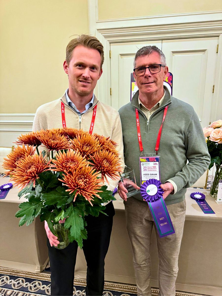 Other Variety Xcellence Award: Chrysanthemum &ldquo;Tamarindo&rdquo; (Royal Van Zanten)