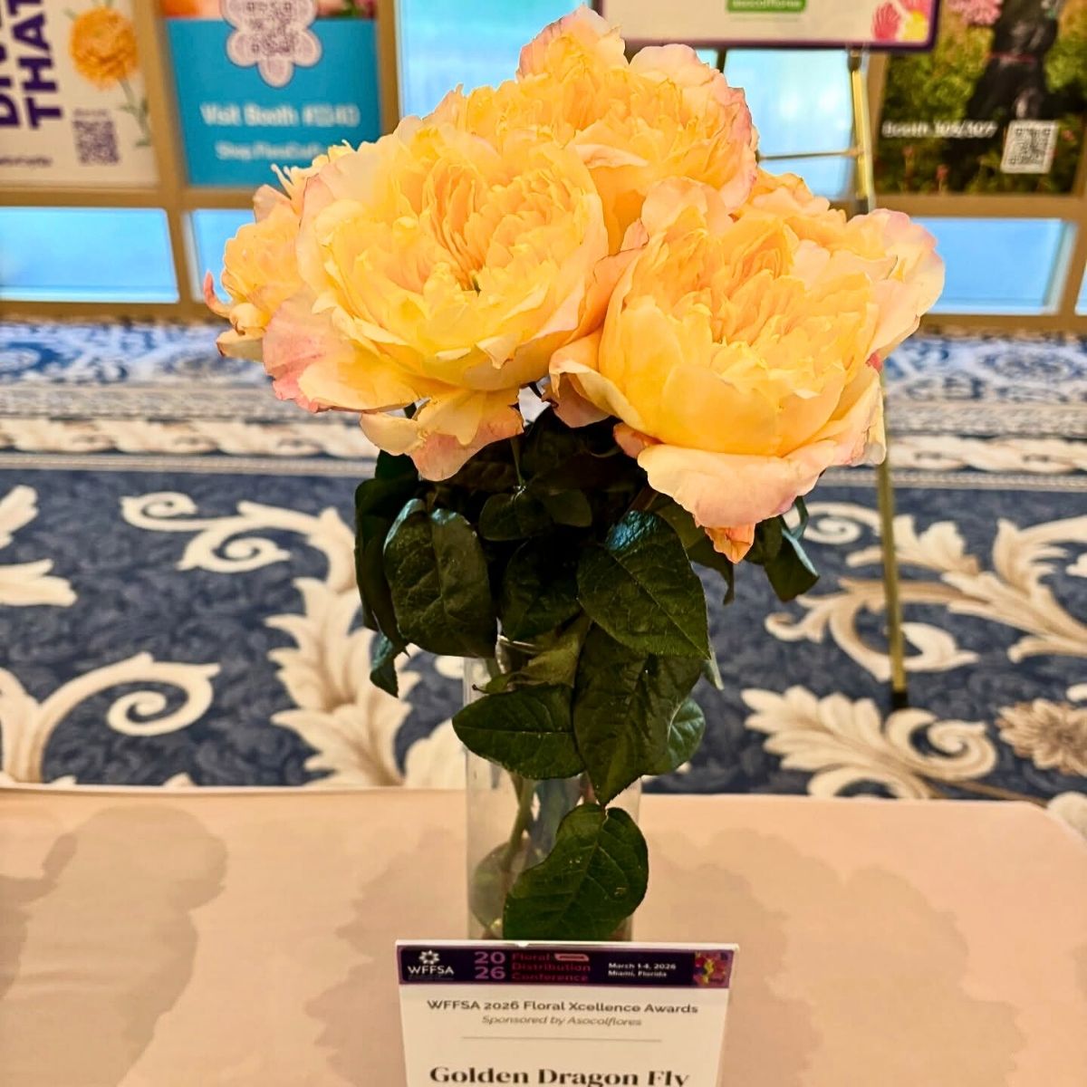 Winning Native Blooms Golden Dragonfly De Ruiter