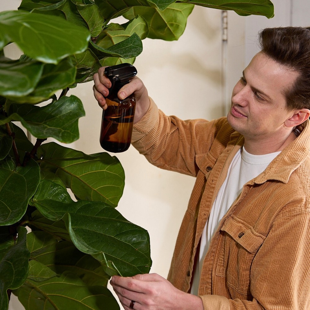 What are the benefits of houseplants that matter most to you personally?
