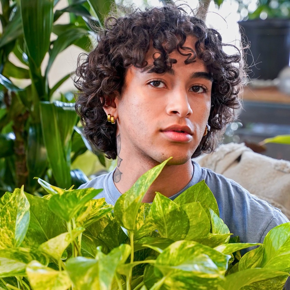 Benefits of Houseplants And Why You Need More of Them at Home