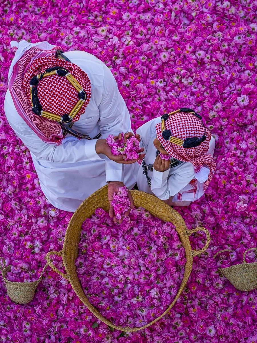 Taif, the City Whose Perfumed Roses Tell the Story of Its People