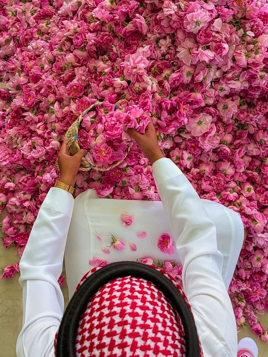 Taif, the City Whose Perfumed Roses Tell the Story of Its People