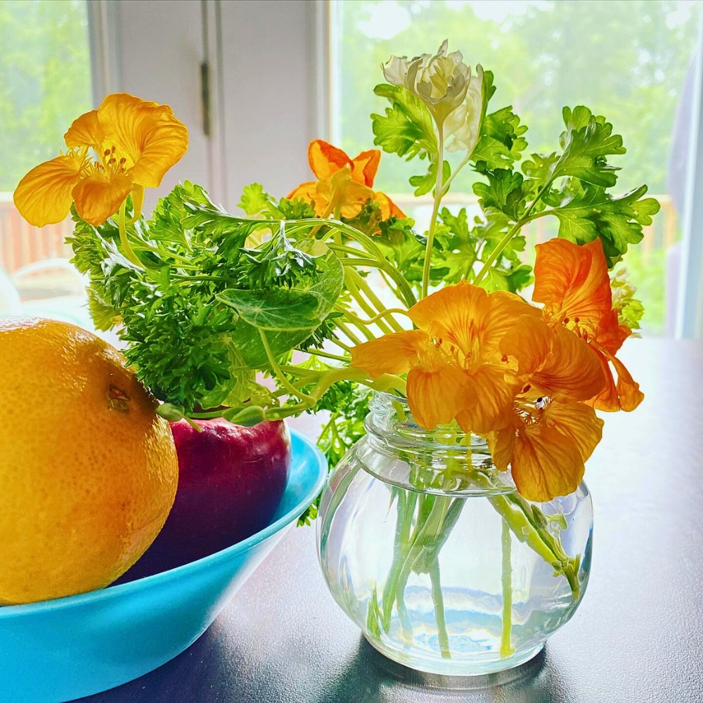 What makes nasturtium flowers so special?