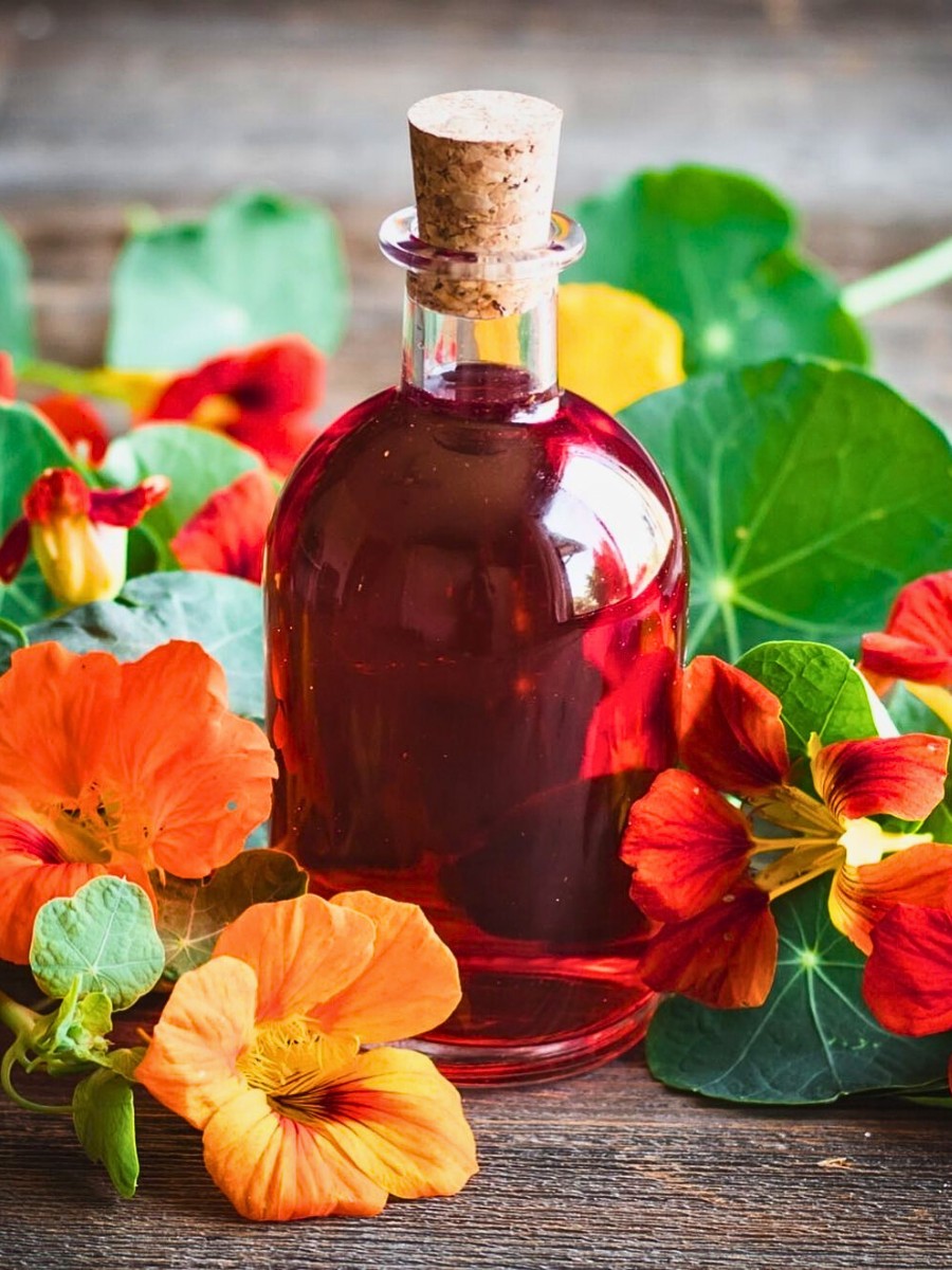 Are nasturtiums perennial or annual?