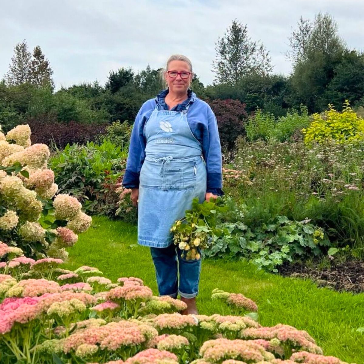 Common Farm Flowers Georgie
