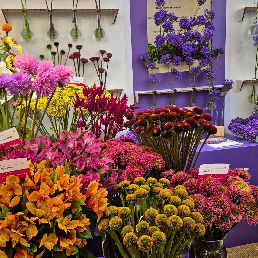 Sustainabloom Launches NEW Sustainability Template for Wholesale Florists