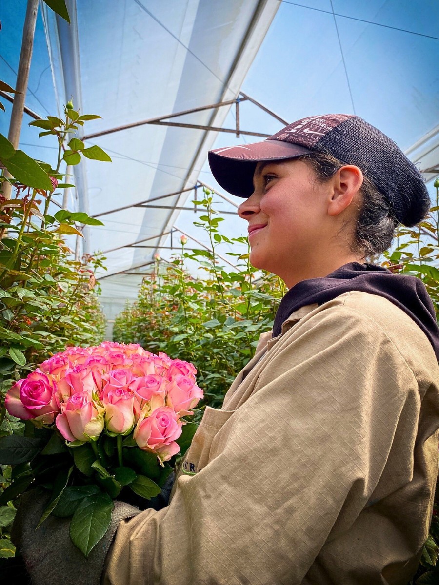 What Is Florverde Sustainable Flowers?