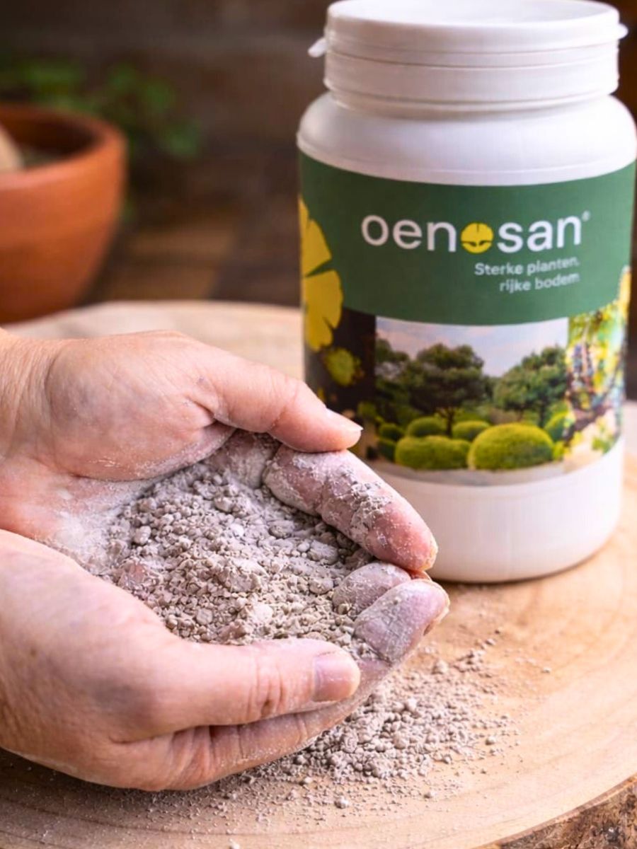 The organice powder Oenosan.