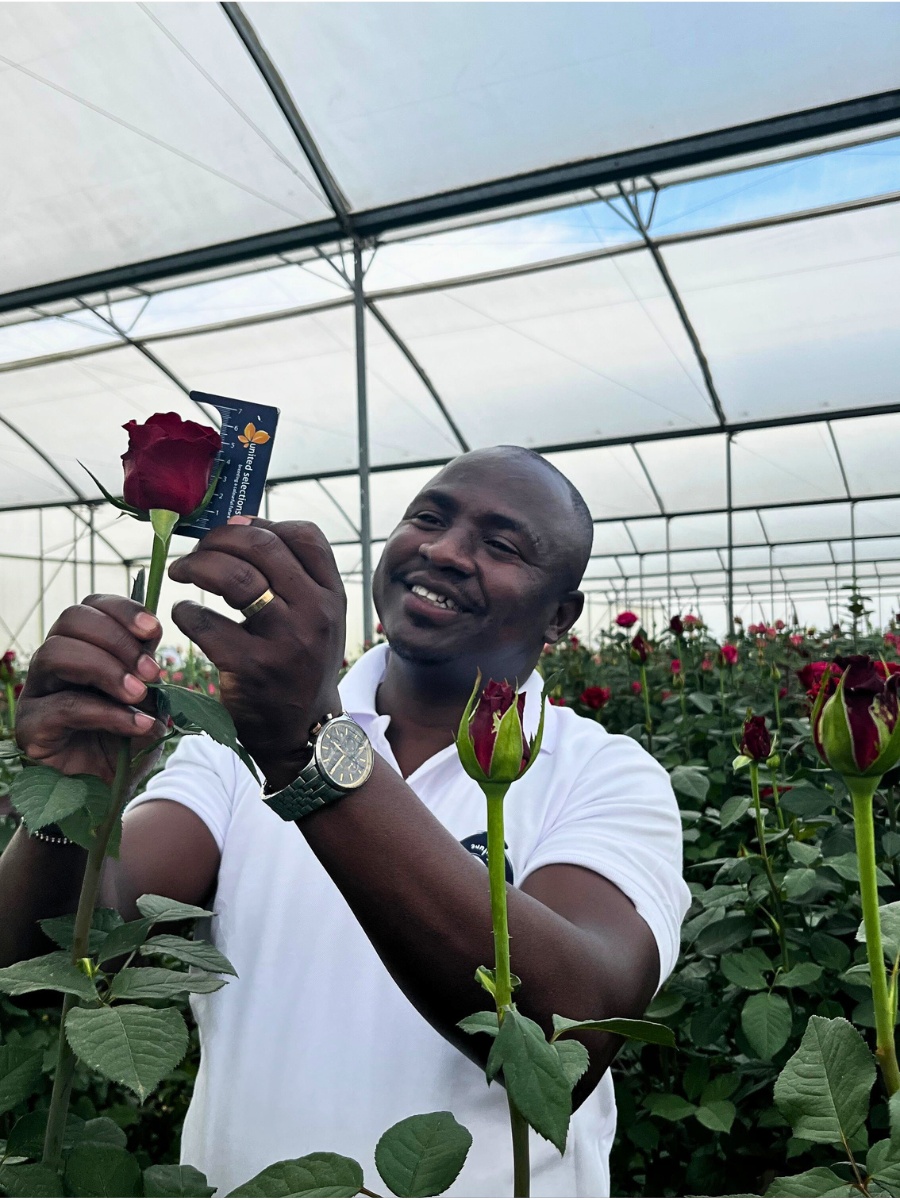 United Selections&rsquo; New Varieties That Will Delight You in the Coming Months