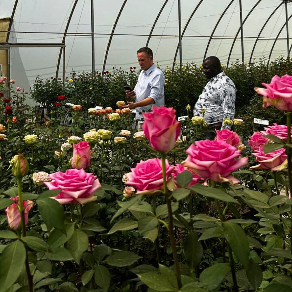 United Selections Unveils New Varieties to Color the Months Ahead