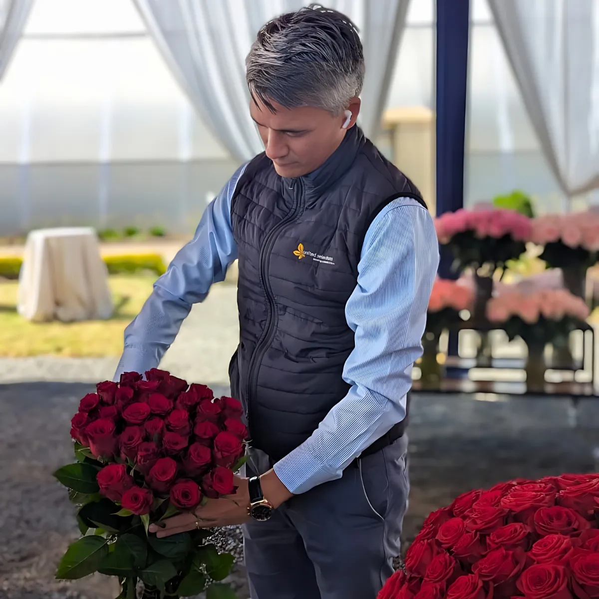 United Selections Unveils New Varieties to Color the Months Ahead