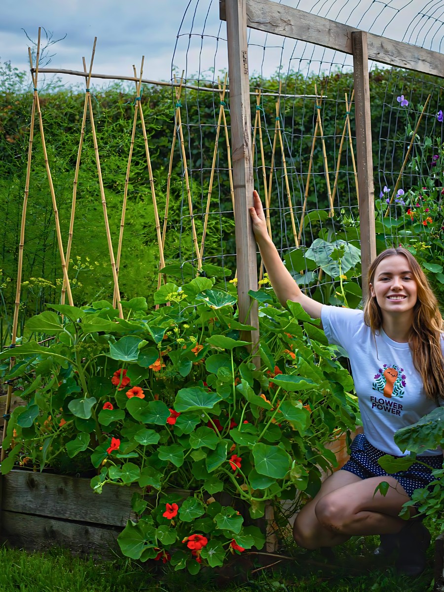 All You&rsquo;d Want to Know About Nasturtium Flowers, Their Planting, Growing, and Care