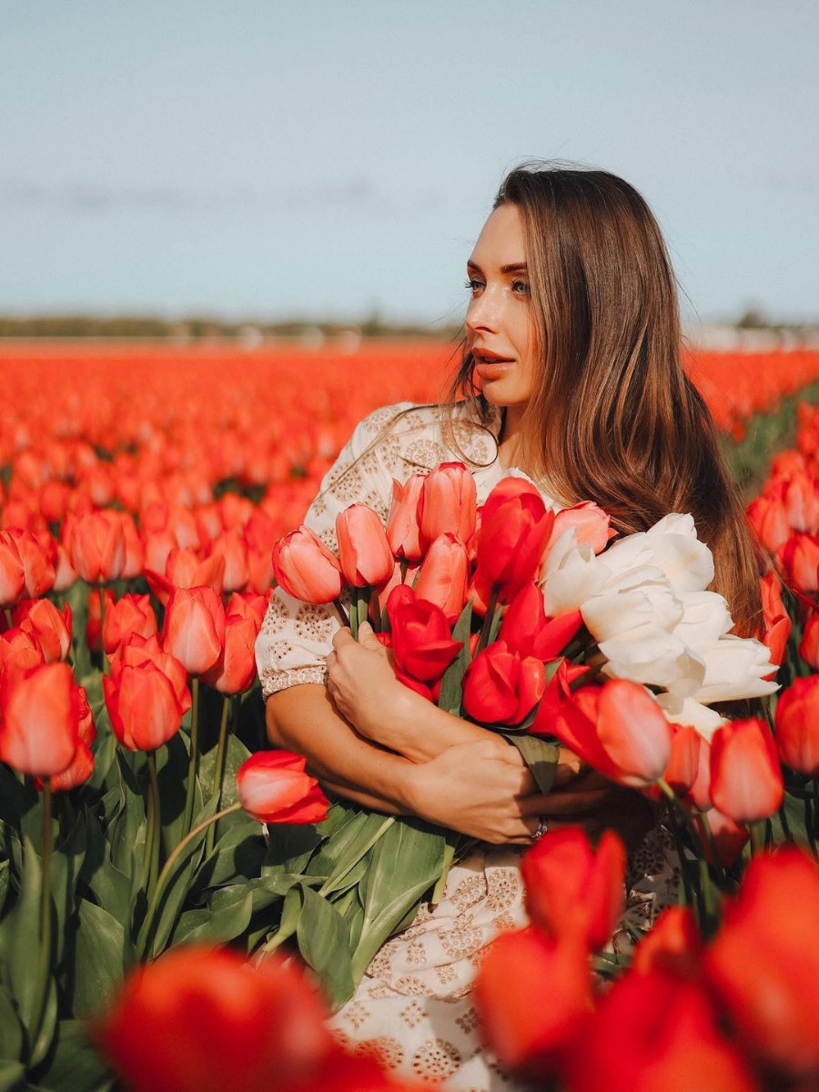 How Does Tulip Breeding Work, From First Cross to a Named Variety?