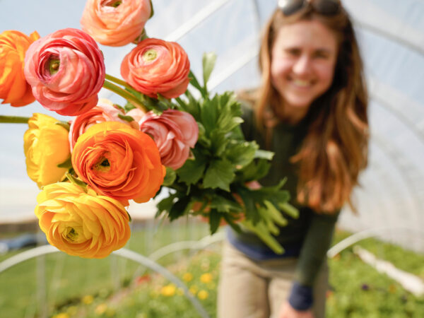 A Quick Synopsis of the North American Flower Market - ranunculus
