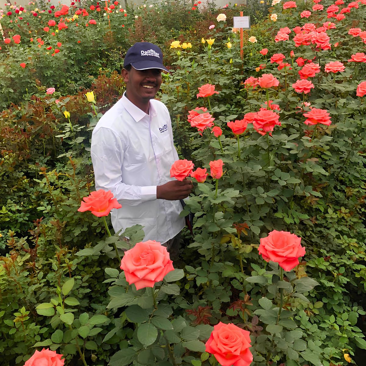 De Ruiter East Africa