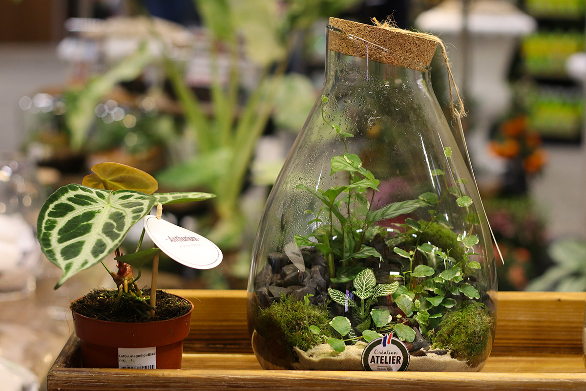 FlorEvent 2026 Renaud Horticash