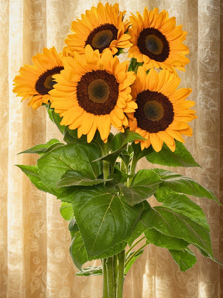 Happy Yellow Day: Danziger's Flowers That Make March 21 the Most Joyful Day in the Floral Calendar