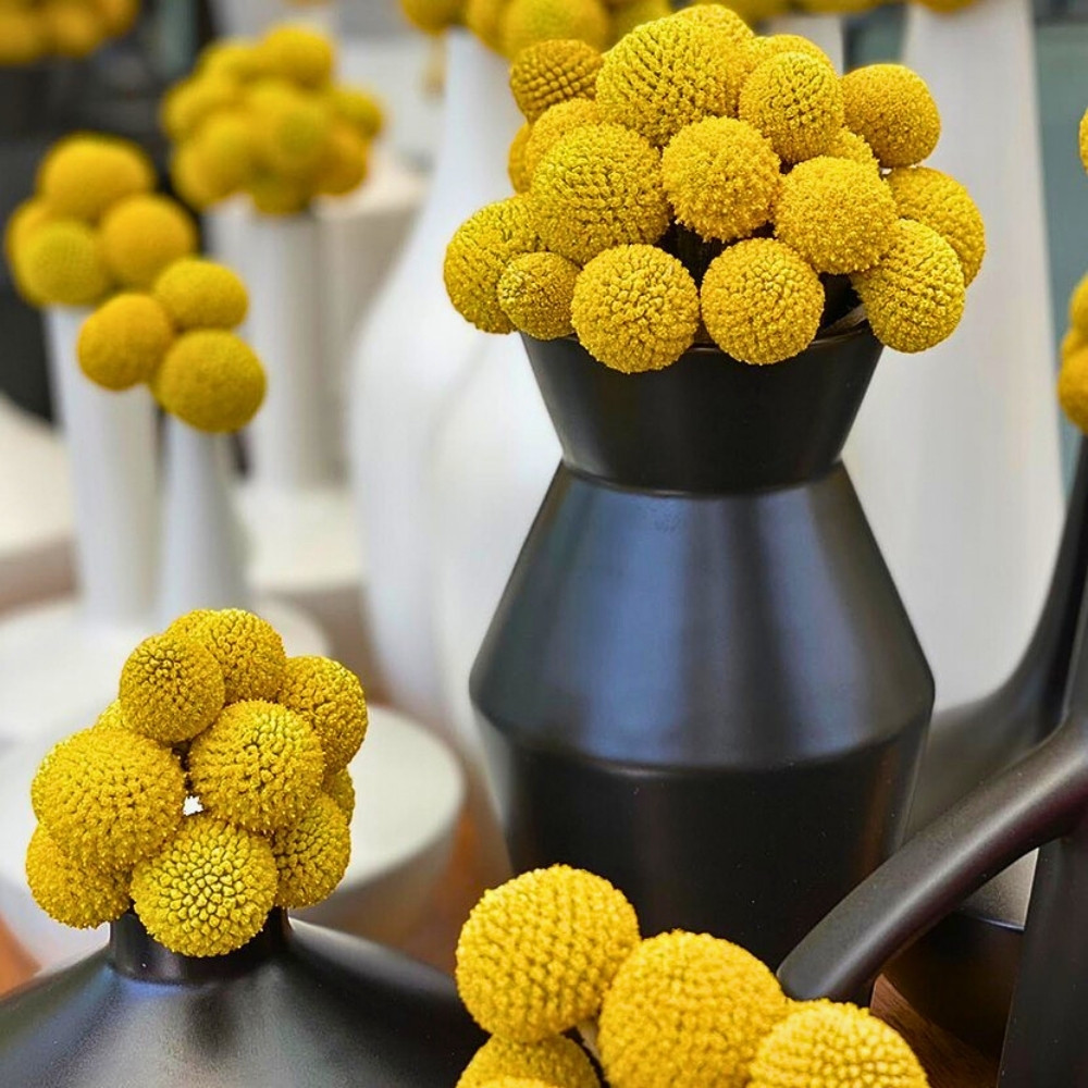 Flowers That Make for a Happy Yellow Day on March 21