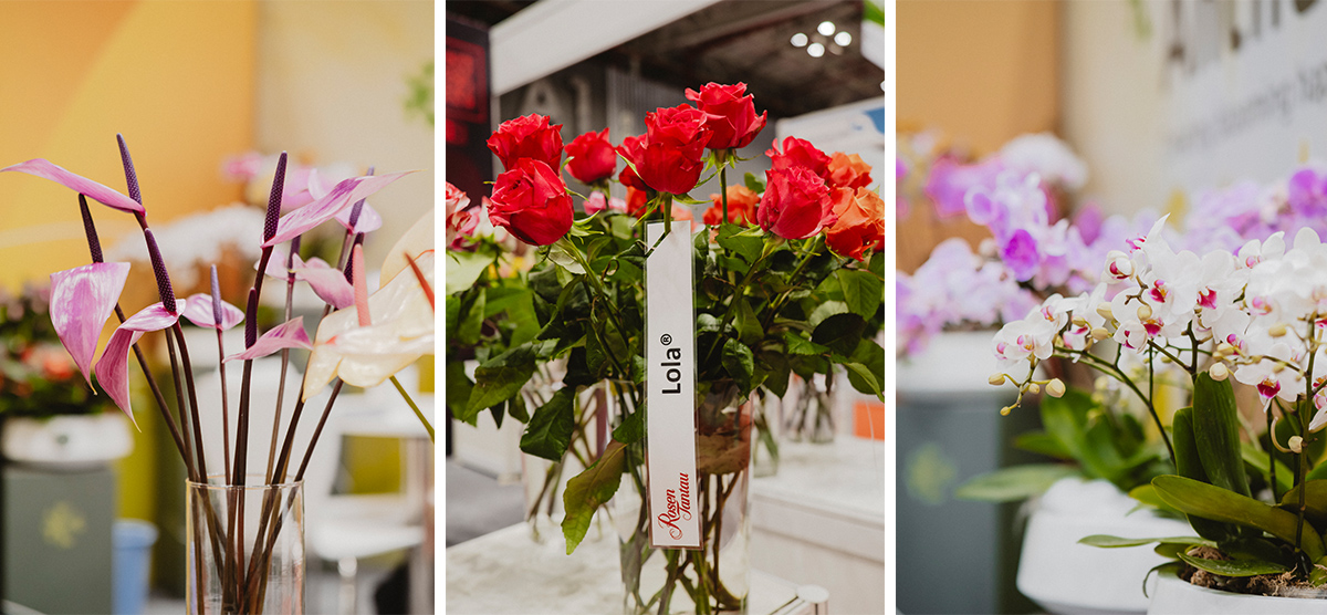 HortEx Thailand 2026 preview Flower Showcase