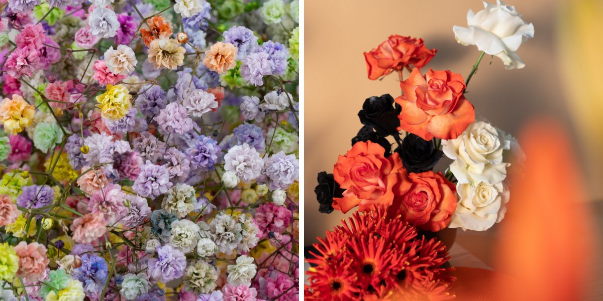 Tinted gypso and roses