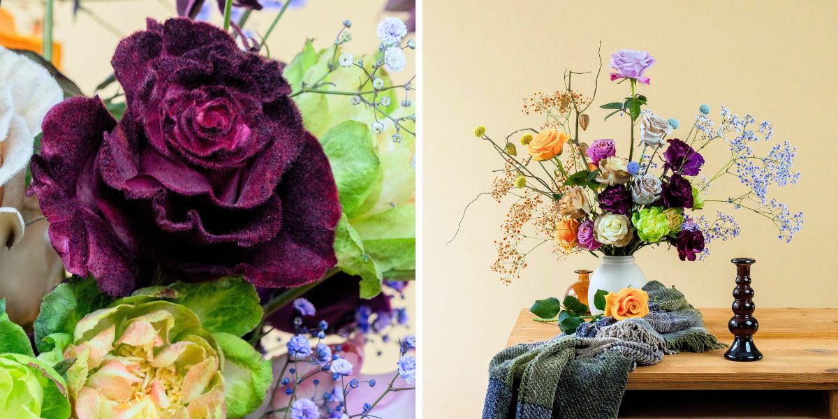 Tinted florals by Mystic flowers