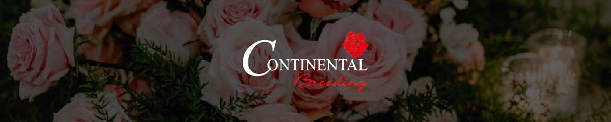 BannerContinentalBreedingPink