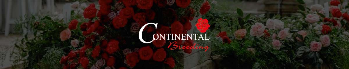 BannerContinentalBreedingRed